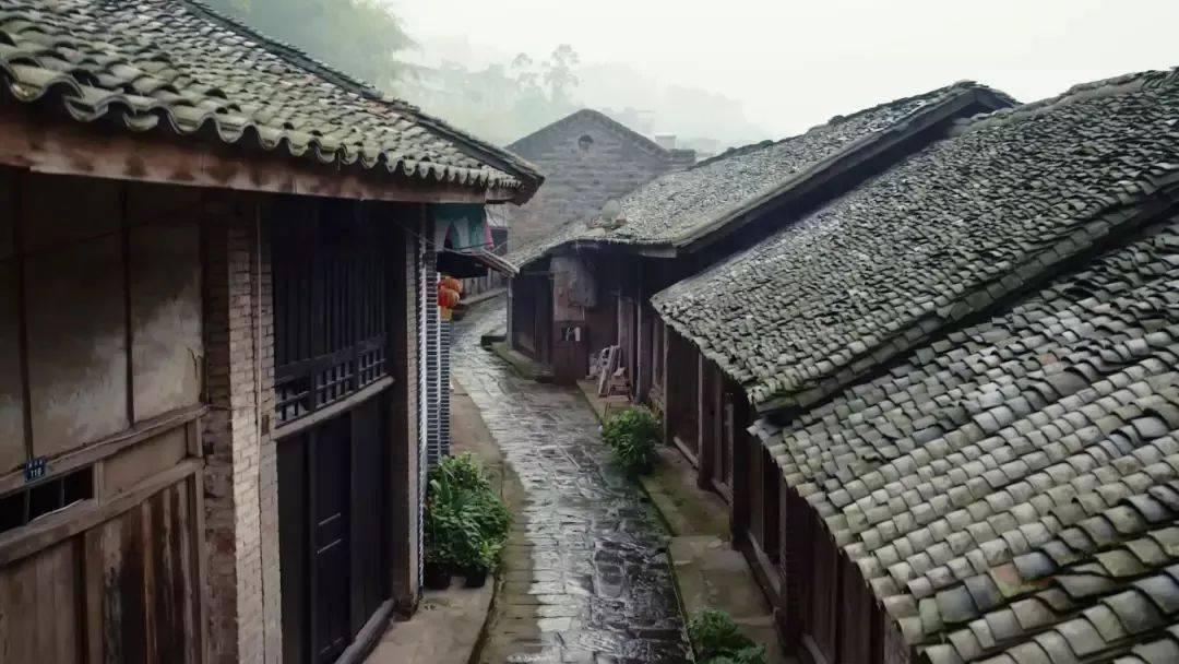 冰冻牛排如何切游戏画面